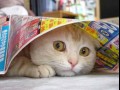 Funny pic