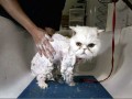 Funny pic