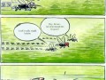 Mosquito