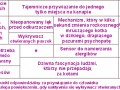Mapa mózgu kota