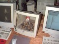 Monitor