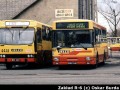 Brzydal
