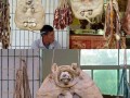 Dried dog