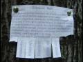 Ogłoszenie