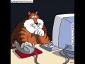 Cat on line ani mh