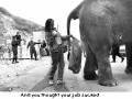 Very bad job