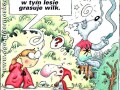 Wilk grasuje