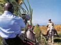 Radar Afrique