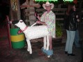 Costume