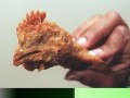 Mcchicken