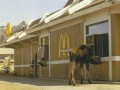 Mc walk through