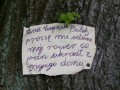 Ogłoszenie