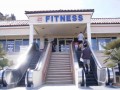 America fitness