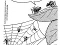 Web stat