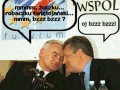 Żuczki