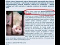 Foto obok