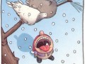 Catching snow flakes