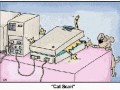 Cat scan