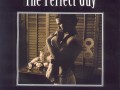 The perfect guy