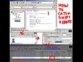 How to catch script kiddies