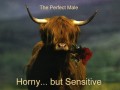 Sensitive