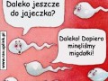Daleka droga