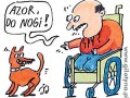 Azor do nogi