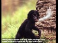 Problem zoo