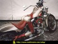 Motorek
