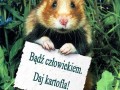 Każdy zmięknie