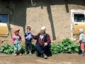 Okna 2004