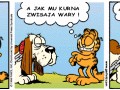 Zasięg