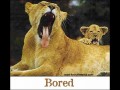 Bored