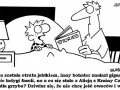 Mądrala