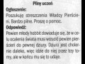 Streszczenie