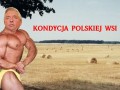 Kondycja