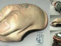 Body mouse