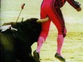 Matador