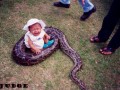 Abuse
