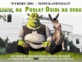 Shrek poseł
