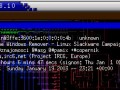 Windows remover
