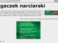 Małysz Goplana