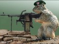 Animal rebellion