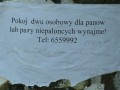 Słownik ortograficzny tanio odstąpię