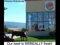 Fresh beef