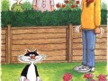 Kitty goin