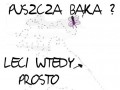 Motyl