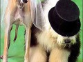 Bride and groom