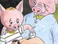 Pig PKO