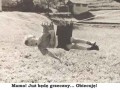 Grzeczny
